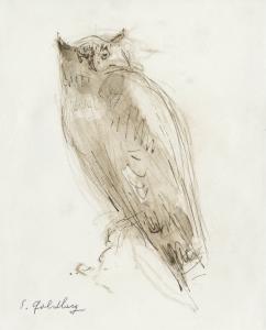 Hibou (Goldberg)